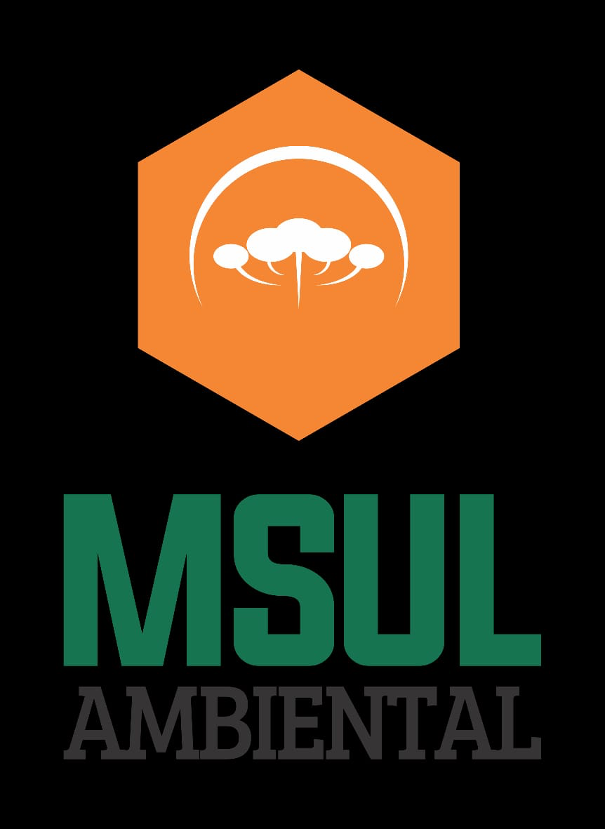 MSul Ambiental